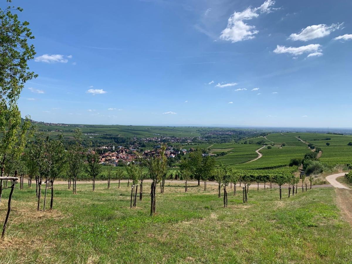 Frühstückspension Wanderers Neubau Birkweiler