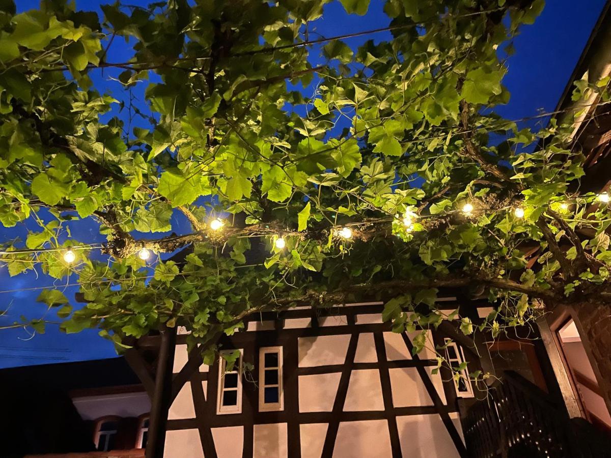 Bed & Breakfast Wanderers Neubau *